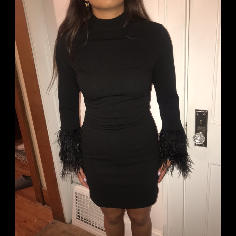 Feather sleeve dress